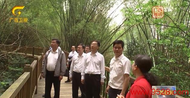 刘宁深刻宁明县调研文化遗产保护诈欺和丛林防火责任。起原：广西卫视截图