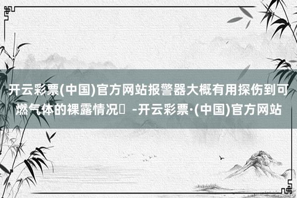 开云彩票(中国)官方网站报警器大概有用探伤到可燃气体的裸露情况‌-开云彩票·(中国)官方网站