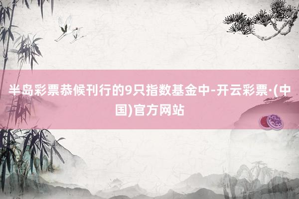 半岛彩票恭候刊行的9只指数基金中-开云彩票·(中国)官方网站