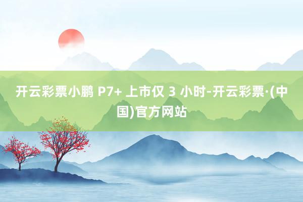 开云彩票小鹏 P7+ 上市仅 3 小时-开云彩票·(中国)官方网站