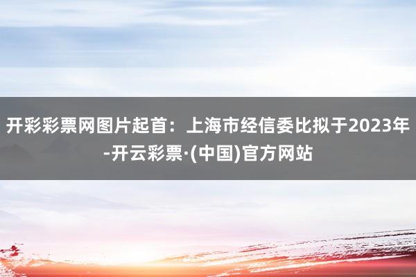 开彩彩票网图片起首：上海市经信委比拟于2023年-开云彩票·(中国)官方网站
