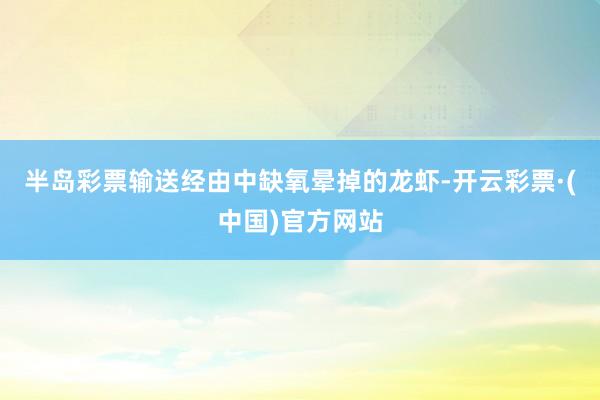 半岛彩票输送经由中缺氧晕掉的龙虾-开云彩票·(中国)官方网站